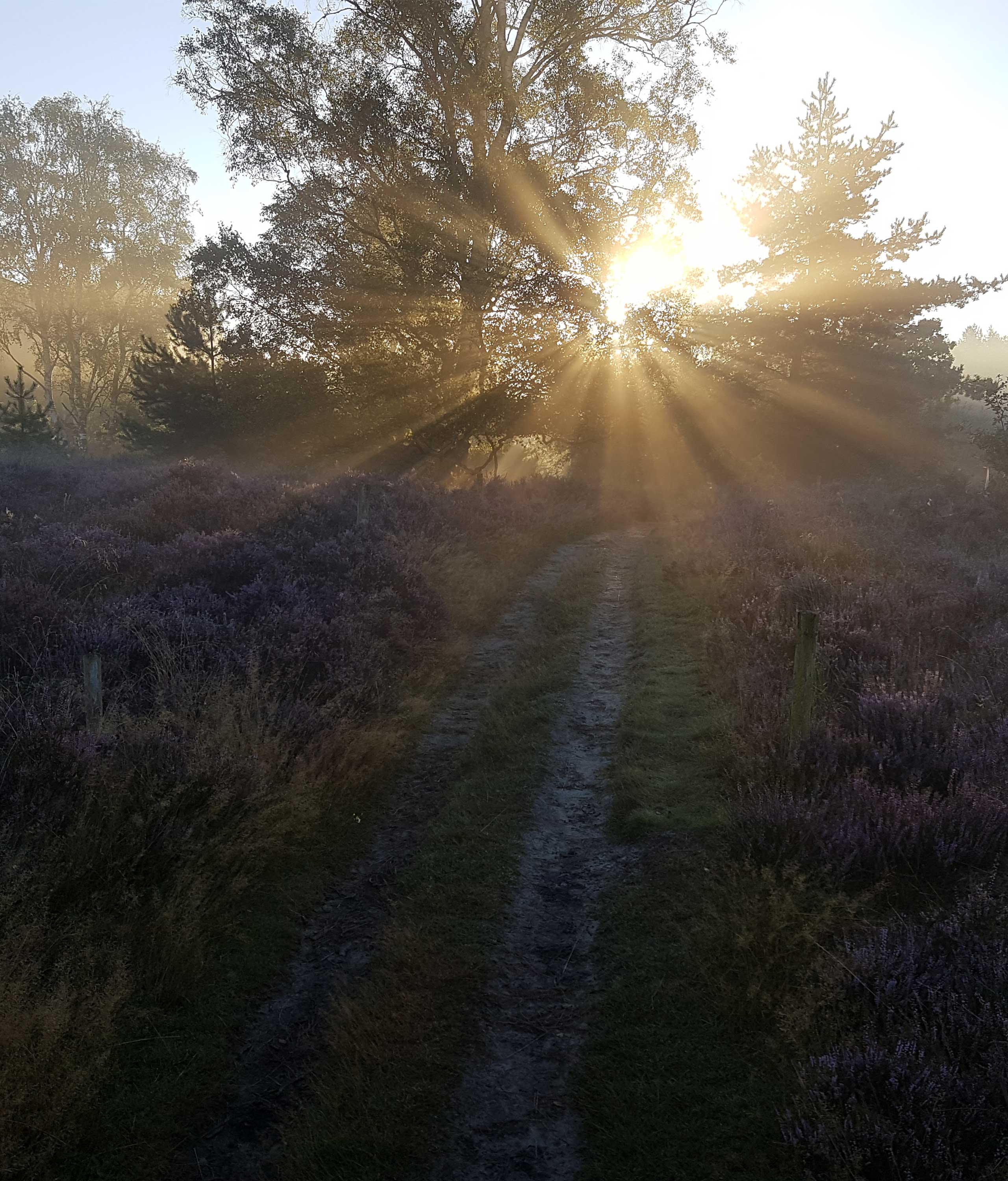 Camping 't Boerenerf — photo 2