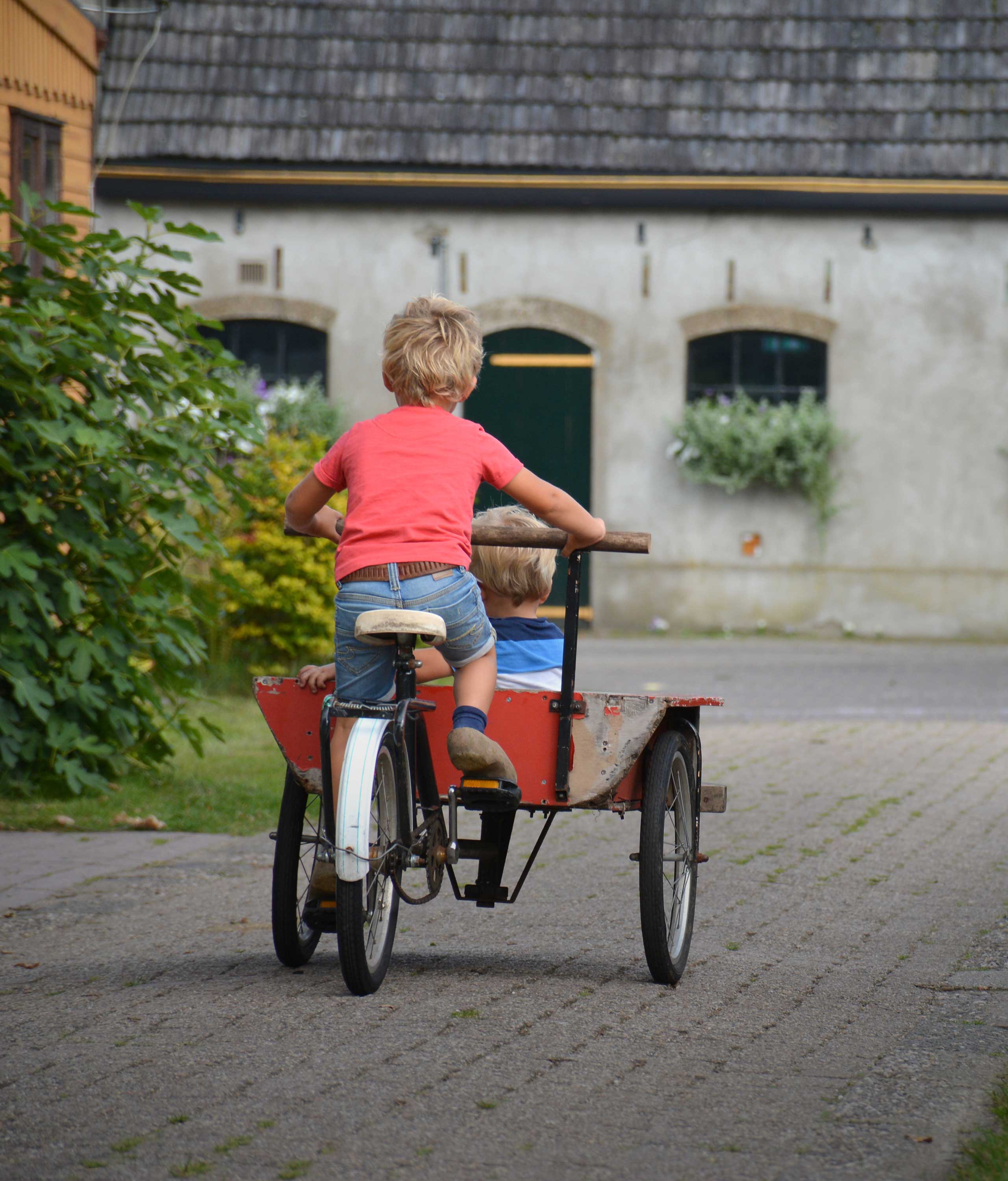 Camping 't Boerenerf — photo 8
